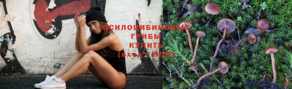винт Красноперекопск