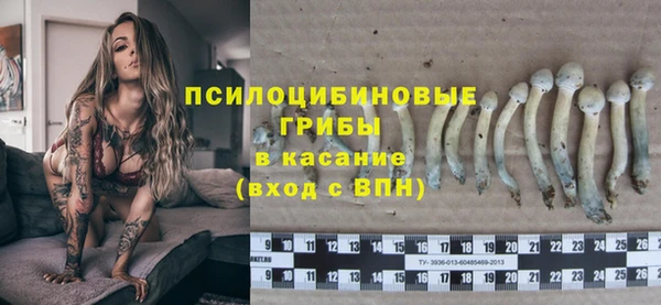 мдпв Костерёво